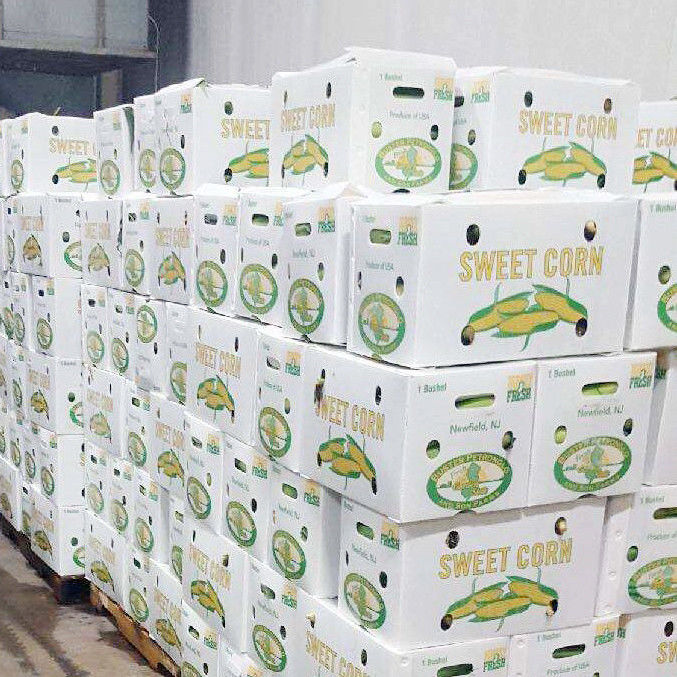 Boîte d'impression en coroplastique résistant aux produits chimiques pour boîtes de maïs industriel et sucré